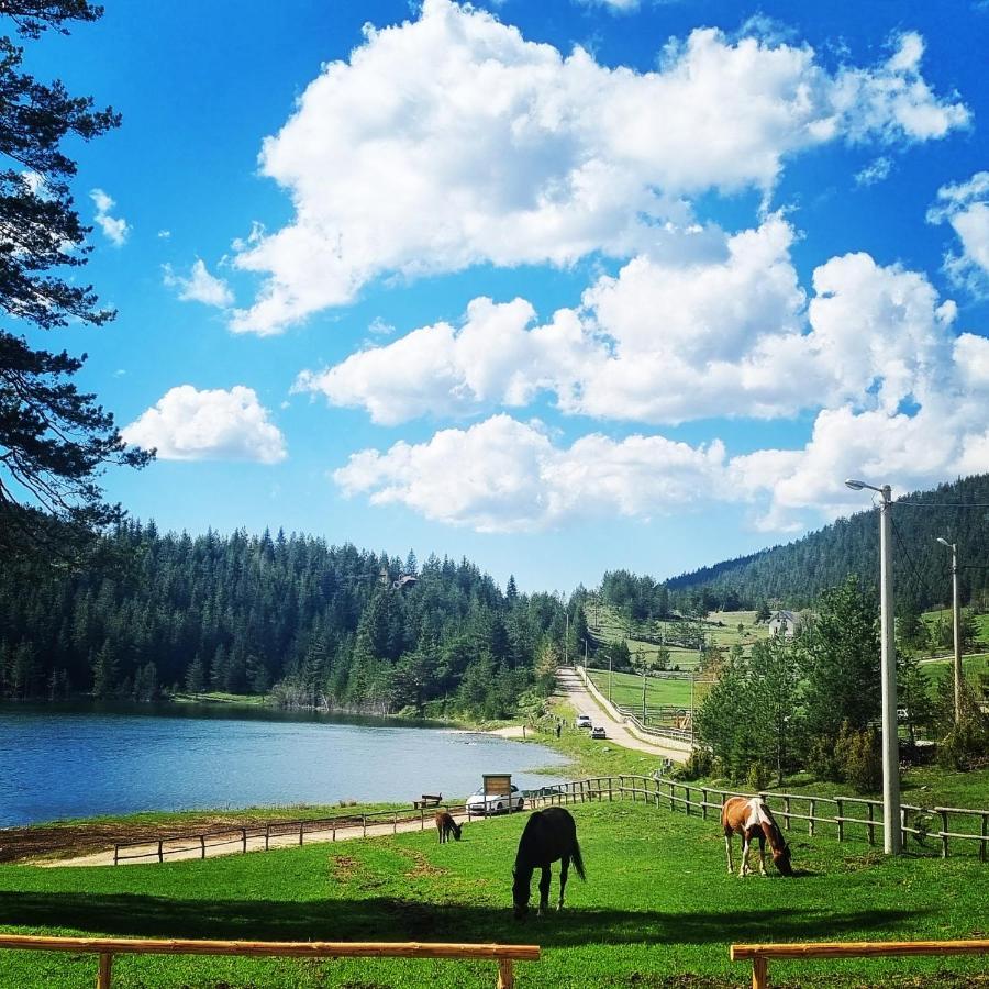 Apartmani Jezero Žabljak Chambre photo